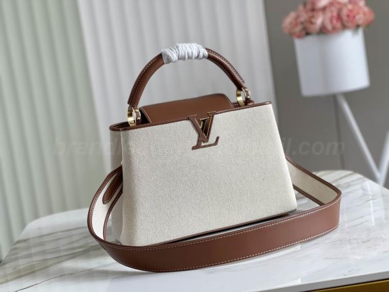 LV Handbags 317